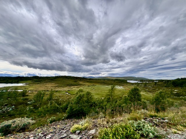 Open skies